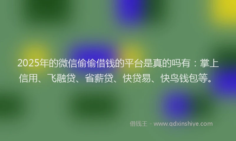 2025年的微信偷偷借钱的平台是真的吗有：掌上信用、飞融贷、省薪贷、快贷易、快鸟钱包等。