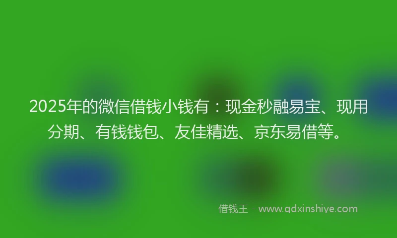 2025年的微信借钱小钱有：现金秒融易宝、现用分期、有钱钱包、友佳精选、京东易借等。