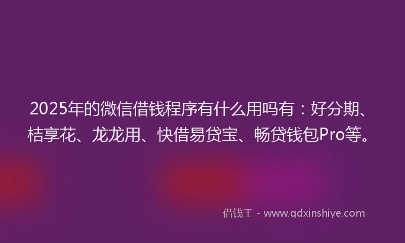 2025年的微信借钱程序有什么用吗有：好分期、桔享花、龙龙用、快借易贷宝、畅贷钱包Pro等。