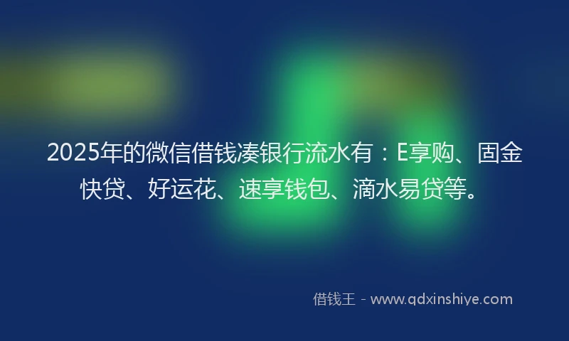 2025年的微信借钱凑银行流水有：E享购、固金快贷、好运花、速享钱包、滴水易贷等。