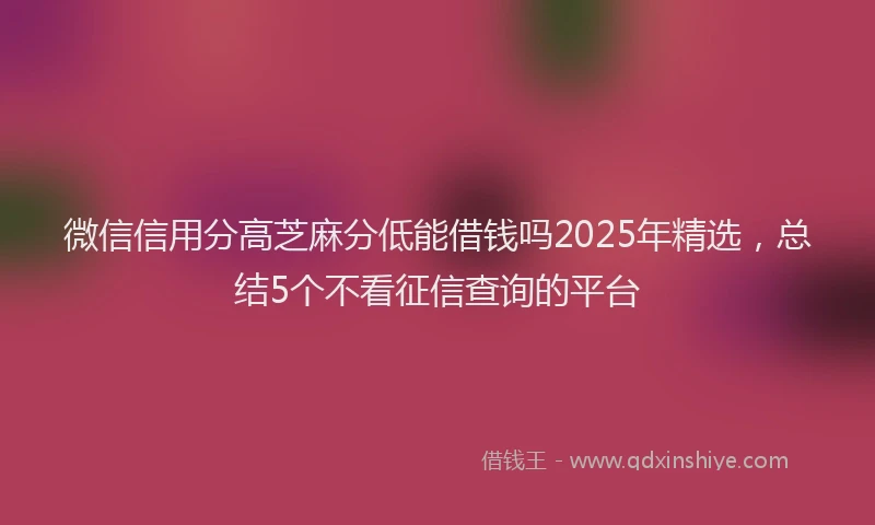 微信信用分高芝麻分低能借钱吗2025年精选，总结5个不看征信查询的平台