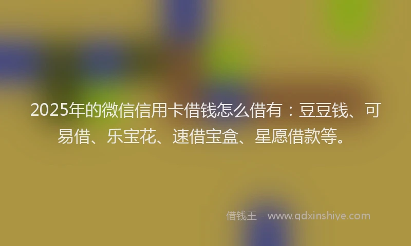 2025年的微信信用卡借钱怎么借有：豆豆钱、可易借、乐宝花、速借宝盒、星愿借款等。