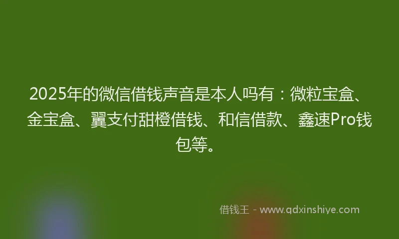2025年的微信借钱声音是本人吗有：微粒宝盒、金宝盒、翼支付甜橙借钱、和信借款、鑫速Pro钱包等。