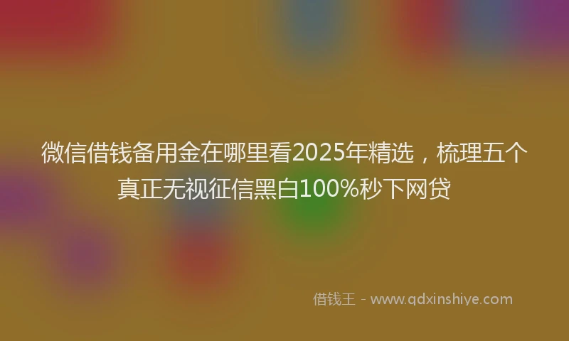 微信借钱备用金在哪里看2025年精选，梳理五个真正无视征信黑白100%秒下网贷