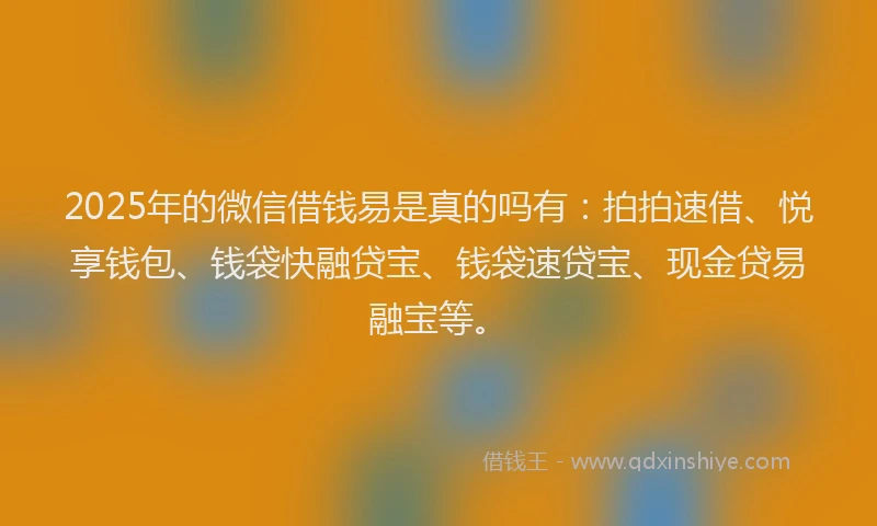2025年的微信借钱易是真的吗有：拍拍速借、悦享钱包、钱袋快融贷宝、钱袋速贷宝、现金贷易融宝等。