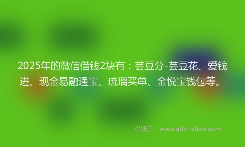2025年的微信借钱2块有：芸豆分-芸豆花、爱钱进、现金易融通宝、琉璃买单、金悦宝钱包等。
