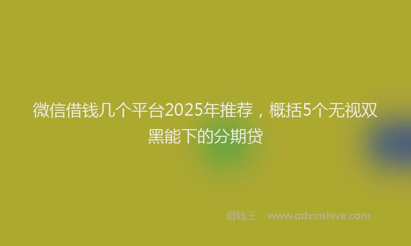 微信借钱几个平台2025年推荐，概括5个无视双黑能下的分期贷