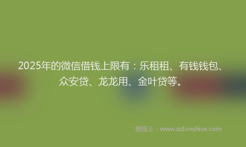 2025年的微信借钱上限有：乐租租、有钱钱包、众安贷、龙龙用、金叶贷等。