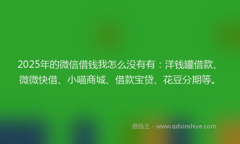 2025年的微信借钱我怎么没有有：洋钱罐借款、微微快借、小喵商城、借款宝贷、花豆分期等。