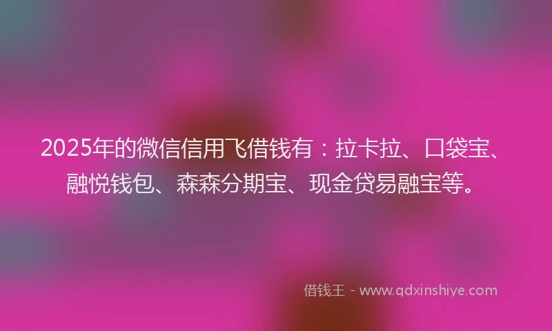 2025年的微信信用飞借钱有：拉卡拉、口袋宝、融悦钱包、森森分期宝、现金贷易融宝等。