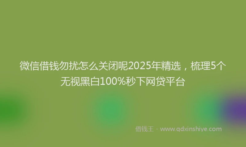 微信借钱勿扰怎么关闭呢2025年精选，梳理5个无视黑白100%秒下网贷平台