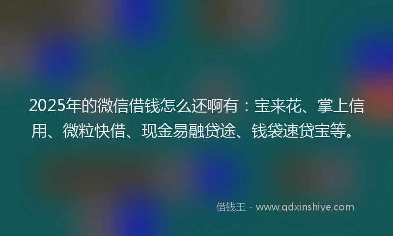 2025年的微信借钱怎么还啊有：宝来花、掌上信用、微粒快借、现金易融贷途、钱袋速贷宝等。