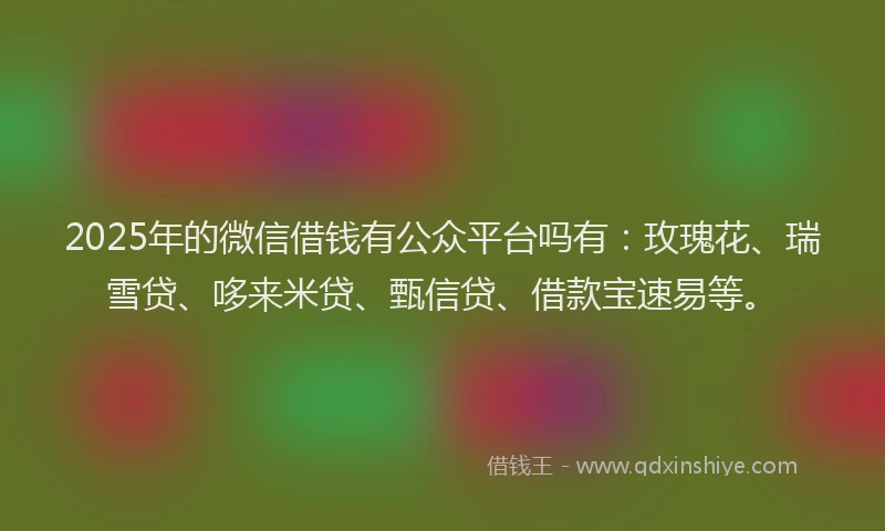 2025年的微信借钱有公众平台吗有：玫瑰花、瑞雪贷、哆来米贷、甄信贷、借款宝速易等。