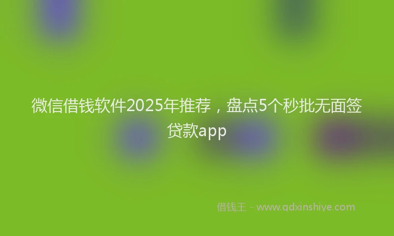 微信借钱软件2025年推荐，盘点5个秒批无面签贷款app