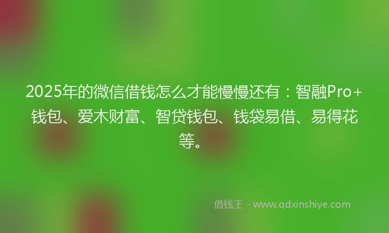 2025年的微信借钱怎么才能慢慢还有：智融Pro+钱包、爱木财富、智贷钱包、钱袋易借、易得花等。