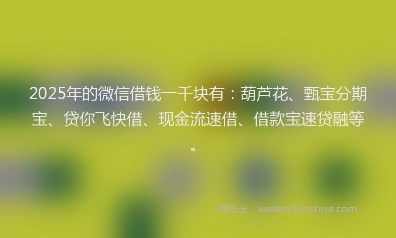 2025年的微信借钱一千块有：葫芦花、甄宝分期宝、贷你飞快借、现金流速借、借款宝速贷融等。