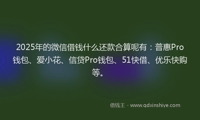 2025年的微信借钱什么还款合算呢有：普惠Pro钱包、爱小花、信贷Pro钱包、51快借、优乐快购等。