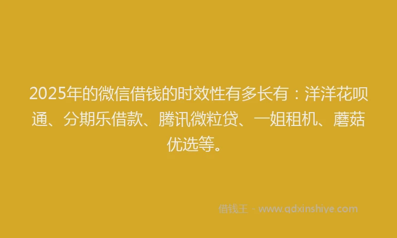 2025年的微信借钱的时效性有多长有：洋洋花呗通、分期乐借款、腾讯微粒贷、一姐租机、蘑菇优选等。