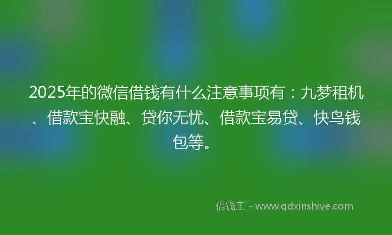 2025年的微信借钱有什么注意事项有：九梦租机、借款宝快融、贷你无忧、借款宝易贷、快鸟钱包等。