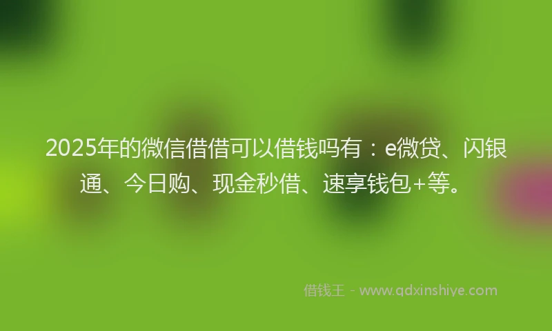 2025年的微信借借可以借钱吗有：e微贷、闪银通、今日购、现金秒借、速享钱包+等。