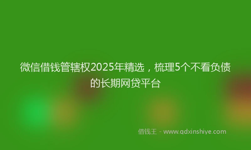 微信借钱管辖权2025年精选，梳理5个不看负债的长期网贷平台