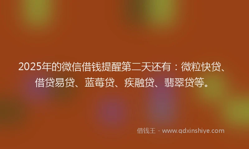 2025年的微信借钱提醒第二天还有：微粒快贷、借贷易贷、蓝莓贷、疾融贷、翡翠贷等。