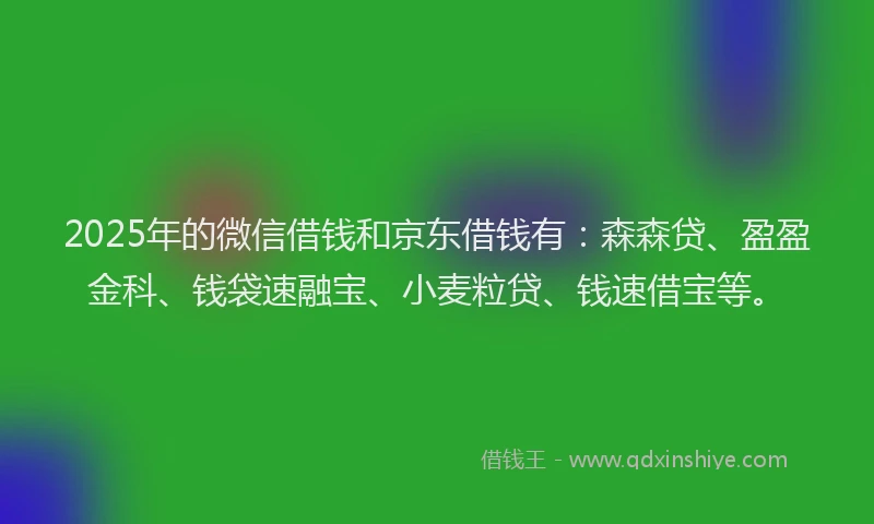 2025年的微信借钱和京东借钱有：森森贷、盈盈金科、钱袋速融宝、小麦粒贷、钱速借宝等。