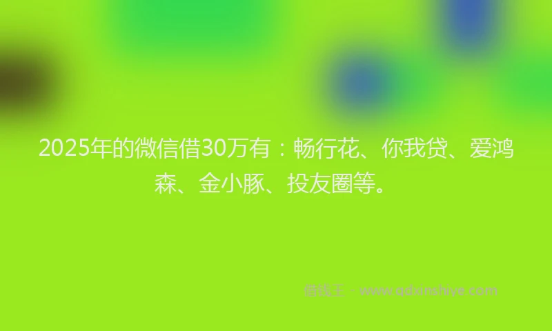 2025年的微信借30万有：畅行花、你我贷、爱鸿森、金小豚、投友圈等。