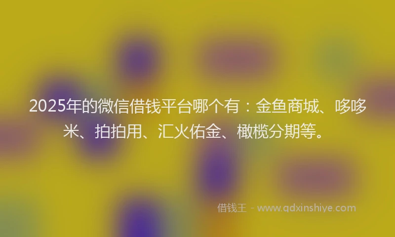 2025年的微信借钱平台哪个有：金鱼商城、哆哆米、拍拍用、汇火佑金、橄榄分期等。
