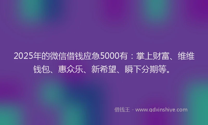 2025年的微信借钱应急5000有：掌上财富、维维钱包、惠众乐、新希望、瞬下分期等。
