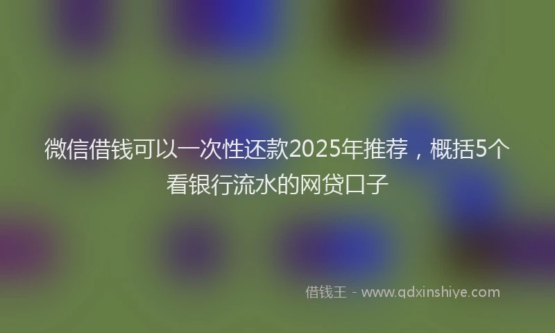 微信借钱可以一次性还款2025年推荐，概括5个看银行流水的网贷口子