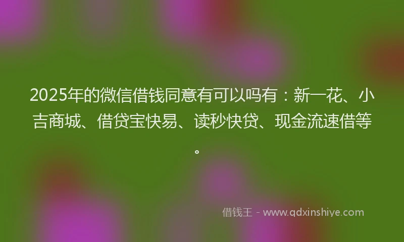 2025年的微信借钱同意有可以吗有：新一花、小吉商城、借贷宝快易、读秒快贷、现金流速借等。