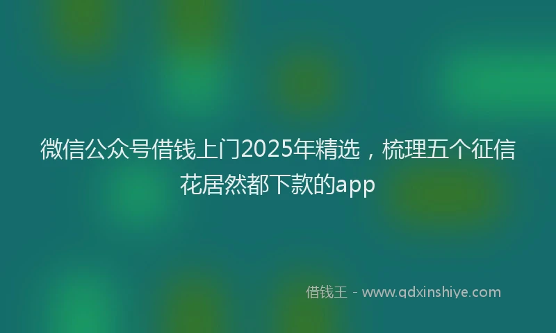 微信公众号借钱上门2025年精选，梳理五个征信花居然都下款的app