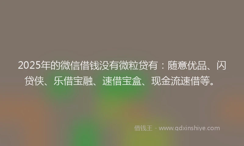 2025年的微信借钱没有微粒贷有：随意优品、闪贷侠、乐借宝融、速借宝盒、现金流速借等。