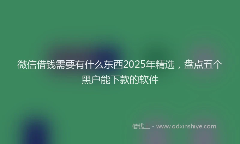 微信借钱需要有什么东西2025年精选，盘点五个黑户能下款的软件