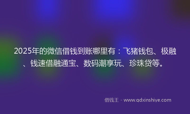 2025年的微信借钱到账哪里有：飞猪钱包、极融、钱速借融通宝、数码潮享玩、珍珠贷等。