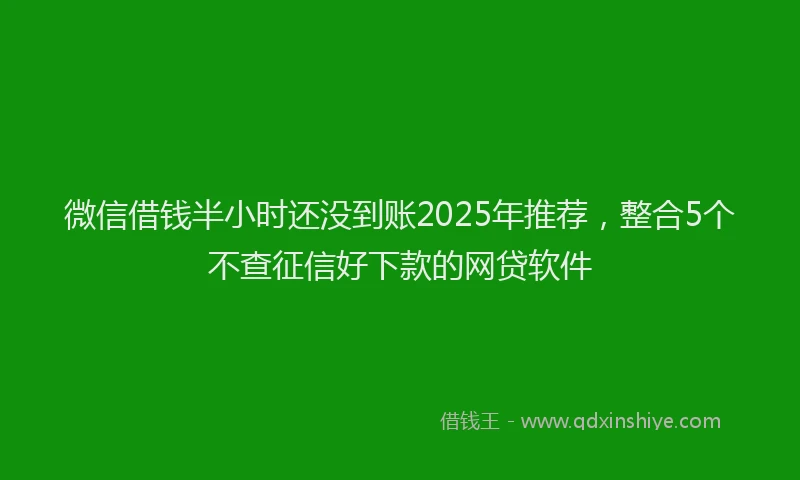 微信借钱半小时还没到账2025年推荐，整合5个不查征信好下款的网贷软件