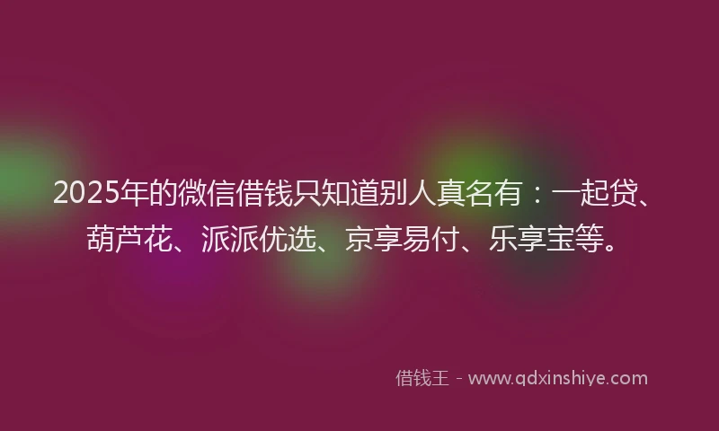 2025年的微信借钱只知道别人真名有：一起贷、葫芦花、派派优选、京享易付、乐享宝等。