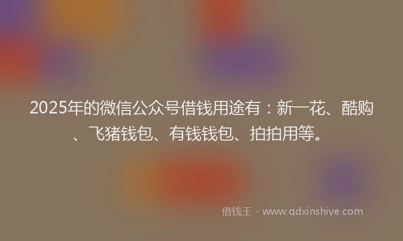2025年的微信公众号借钱用途有：新一花、酷购、飞猪钱包、有钱钱包、拍拍用等。