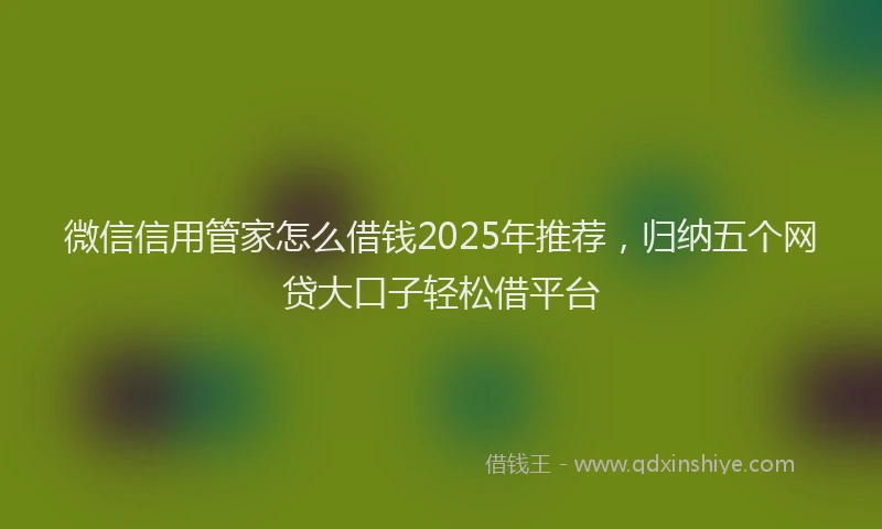 微信信用管家怎么借钱2025年推荐，归纳五个网贷大口子轻松借平台