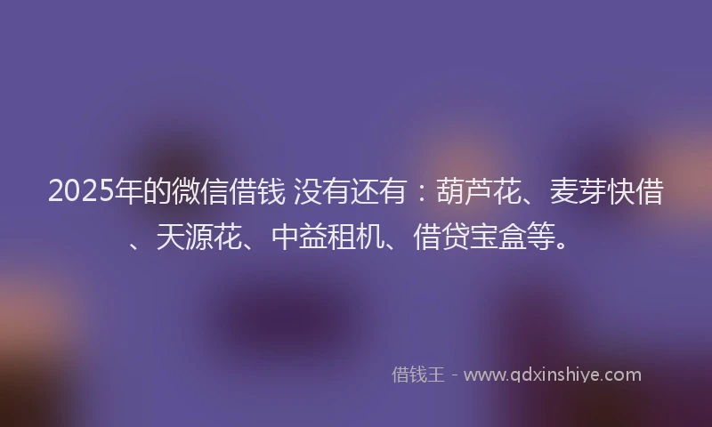 2025年的微信借钱 没有还有：葫芦花、麦芽快借、天源花、中益租机、借贷宝盒等。