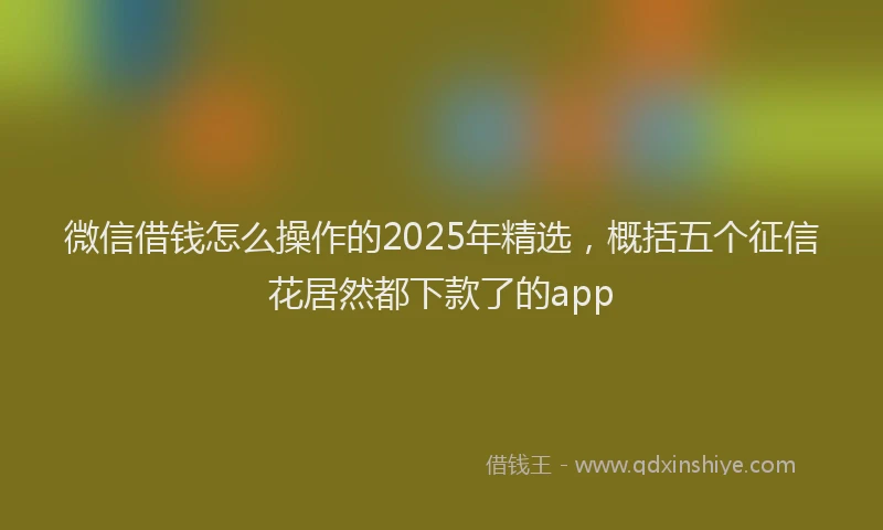 微信借钱怎么操作的2025年精选，概括五个征信花居然都下款了的app