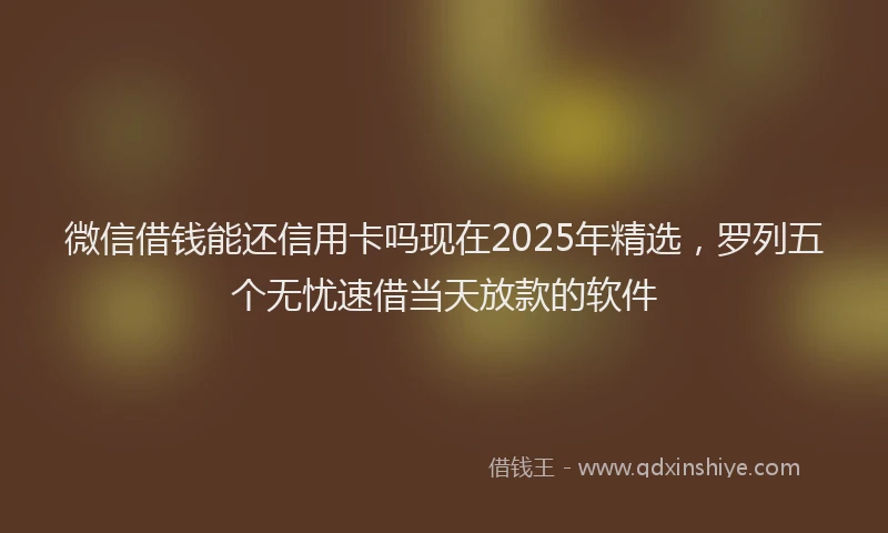 微信借钱能还信用卡吗现在2025年精选，罗列五个无忧速借当天放款的软件