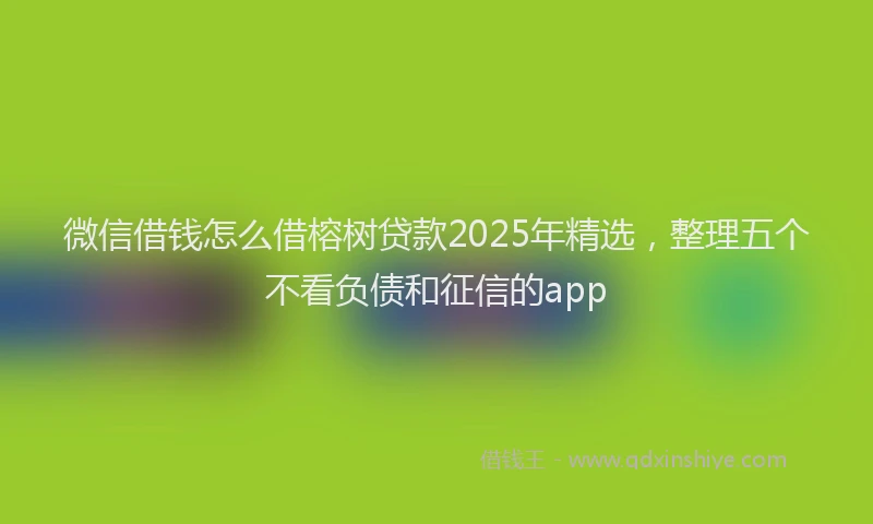 微信借钱怎么借榕树贷款2025年精选，整理五个不看负债和征信的app