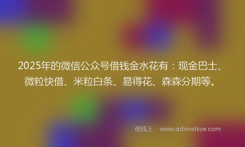 2025年的微信公众号借钱金水花有：现金巴士、微粒快借、米粒白条、易得花、森森分期等。