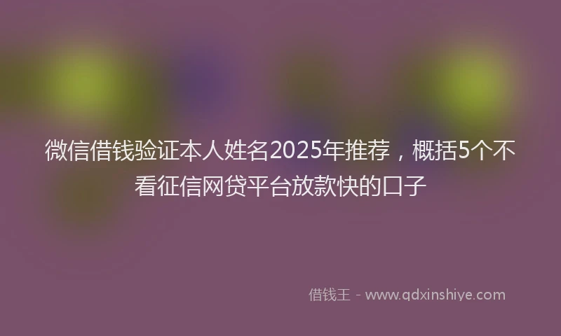 微信借钱验证本人姓名2025年推荐，概括5个不看征信网贷平台放款快的口子