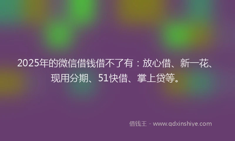 2025年的微信借钱借不了有：放心借、新一花、现用分期、51快借、掌上贷等。