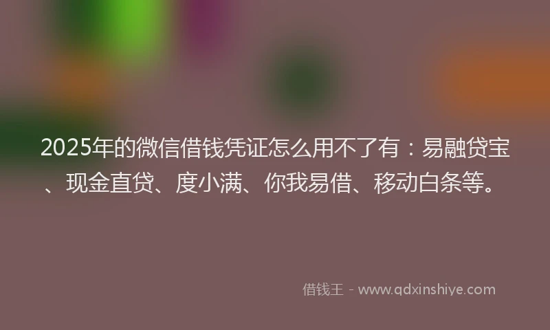2025年的微信借钱凭证怎么用不了有：易融贷宝、现金直贷、度小满、你我易借、移动白条等。