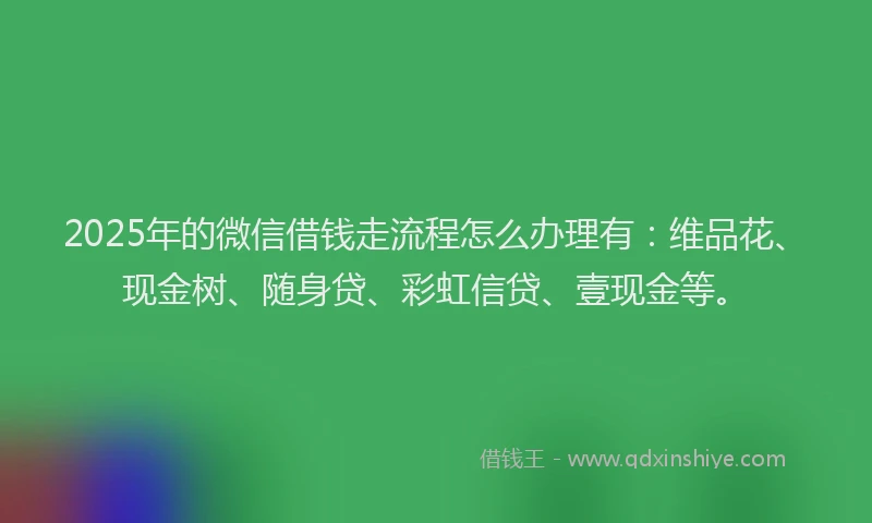 2025年的微信借钱走流程怎么办理有：维品花、现金树、随身贷、彩虹信贷、壹现金等。