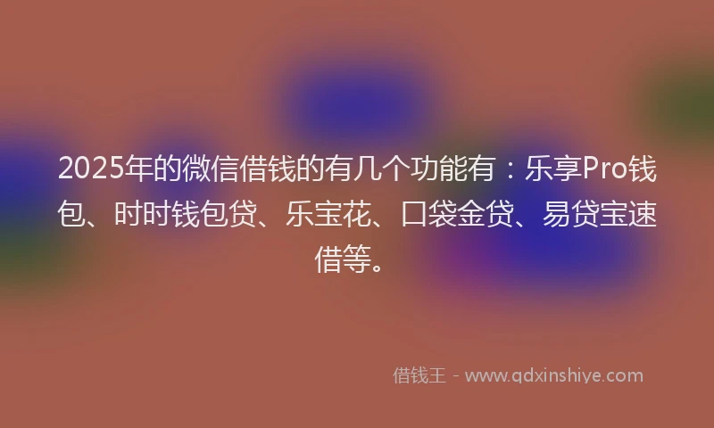 2025年的微信借钱的有几个功能有：乐享Pro钱包、时时钱包贷、乐宝花、口袋金贷、易贷宝速借等。
